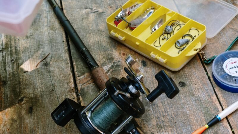 How to set up a Piscifun baitcasting reel step-by-step guide for beginner anglers 🌺